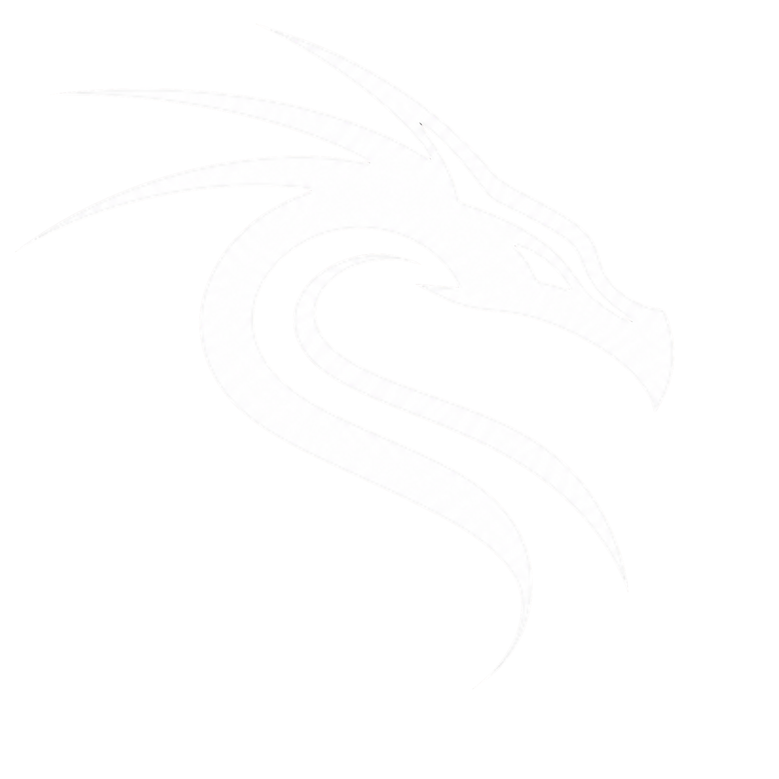 Kali Team